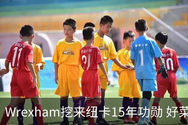Wrexham挖来纽卡15年功勋 好菜坞老板布局英超野心藏不住了